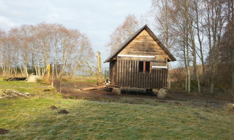 The duckhouse in 2014