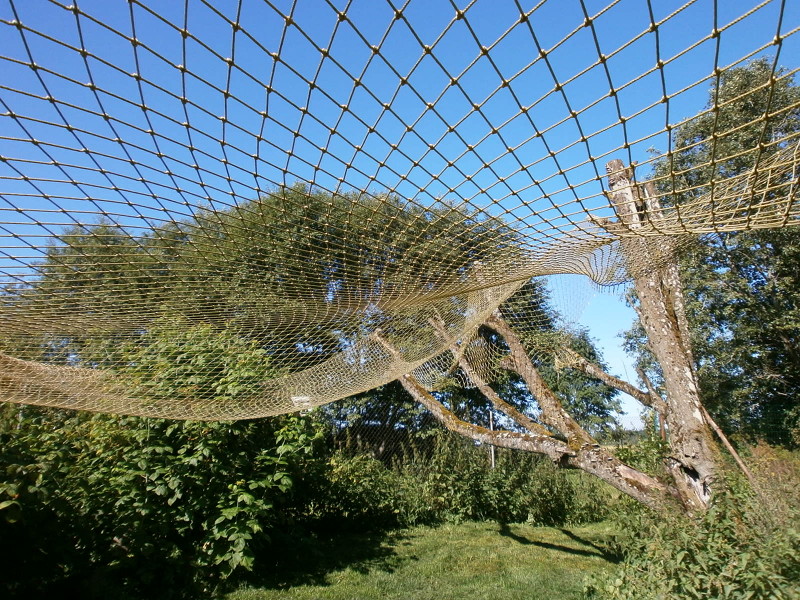 Seine net covering part of the duck garden