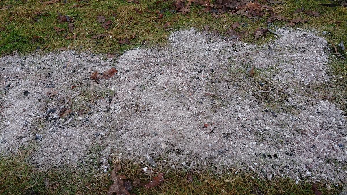 Ashes spread on the grass