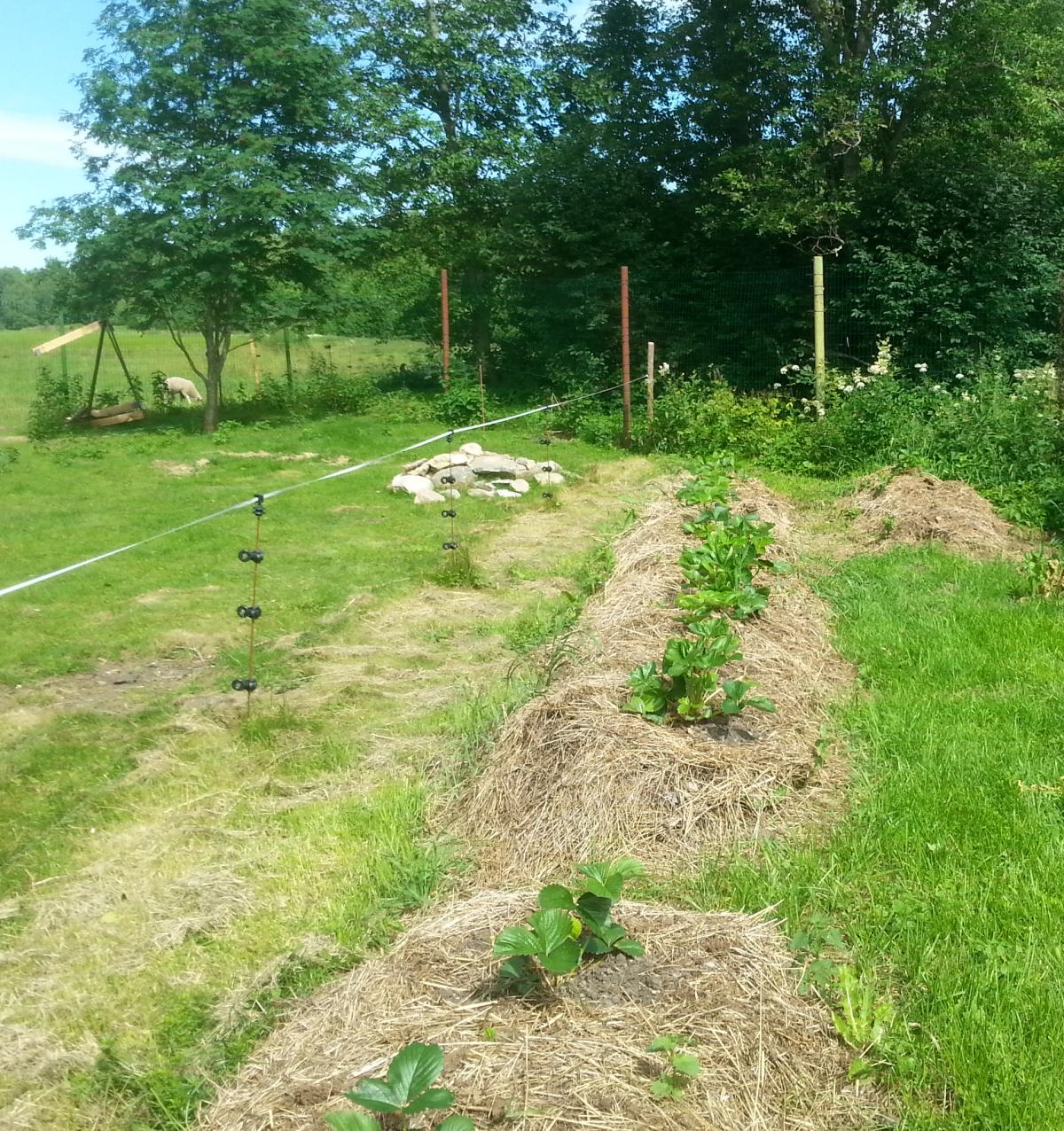 Hay beds