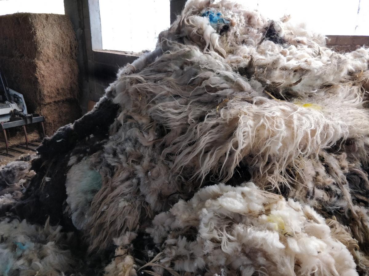 Pile of Wool